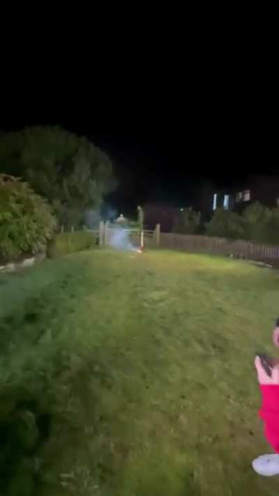 This is what a $1000 firework look like..