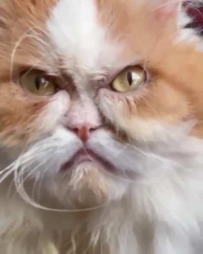 Чёт недоволен