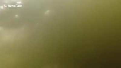 Ruint