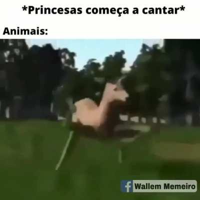 LERIGO CARAAAI