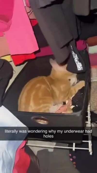 underwear yes
