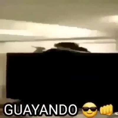 GUYANDO😎👊