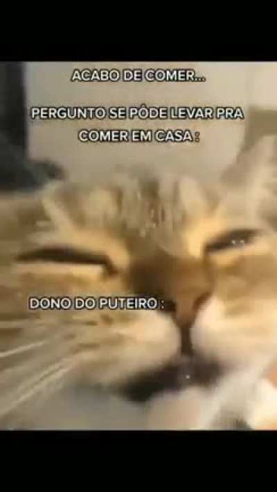 Num pode mais nada 