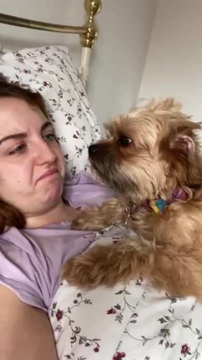 When puppy&rsquo;s attack.