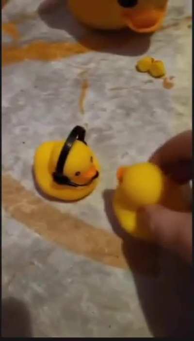 THE DUCK MOVIE IS HERE