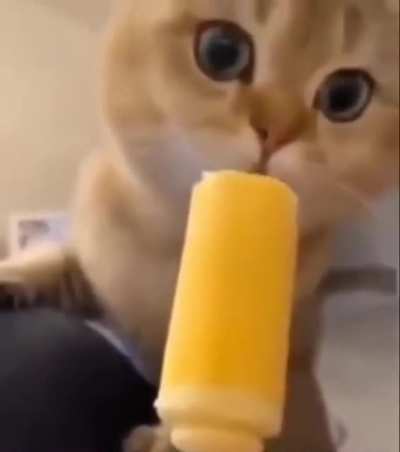 Ice cream 😳🥶