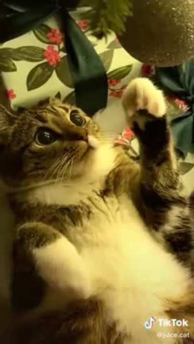 Touch tha ball