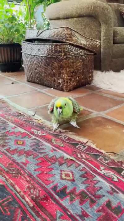 It&rsquo;s ok, I&rsquo;m not gonna hurt you.