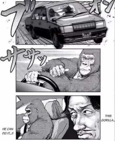 THIS GORILLA HE CAN DO IT!