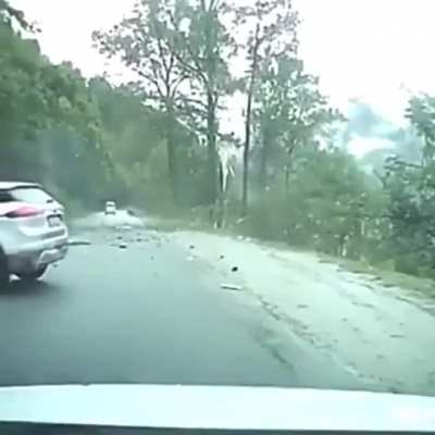 Nature doesn't care where we build our roads
