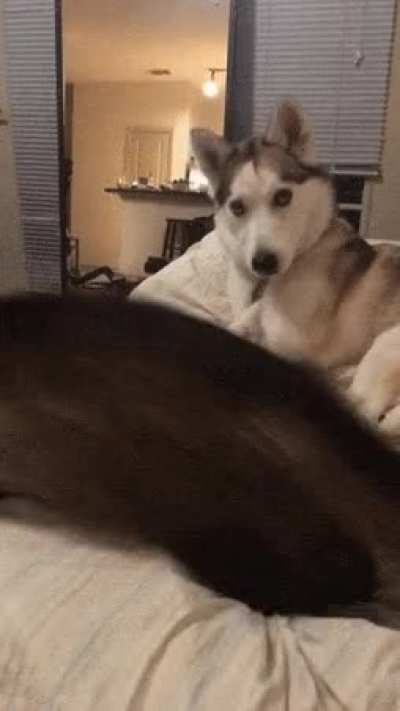 Get out