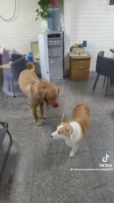 When you argue online vs. in person.