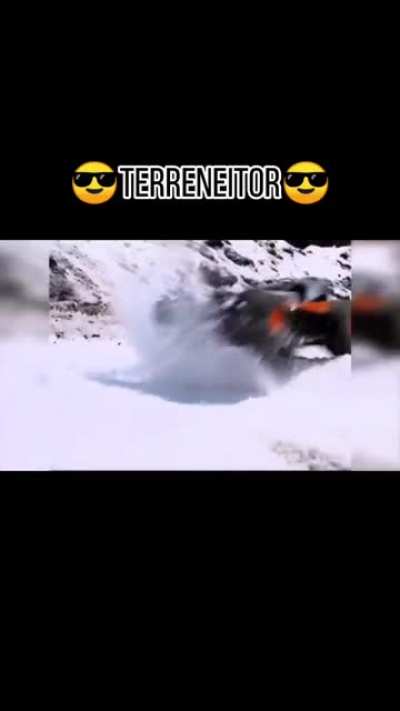 Terreneitor