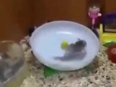 &ldquo;Initiating spin&rdquo;