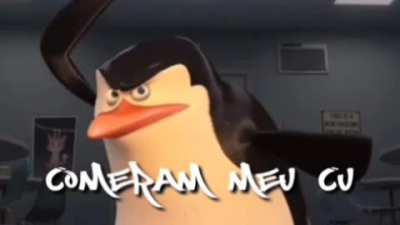 Voltei com meus shitpost incr&iacute;veis pra vcs roubarem 👌