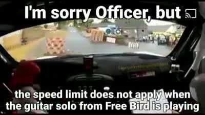 Free bird