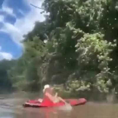Attacking bees