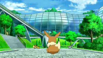 All eeveelutions clip from episode 49 of Pok&eacute;mon Journeys