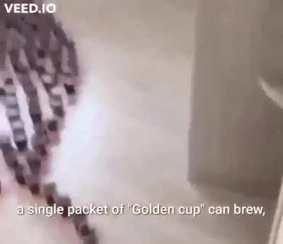 golden tea