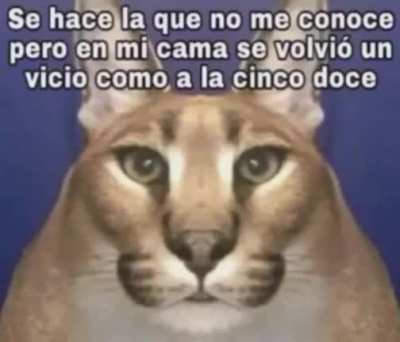 Ramirez cantante 🙀🙀