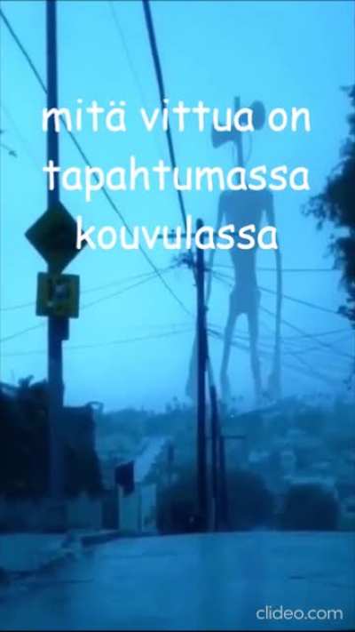 mina_irl