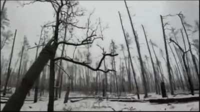 GoPro footage of UA soldiers clearing RU positions in Serebryansky forest