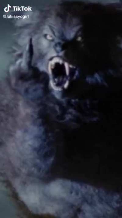 2 wolves inside of you
