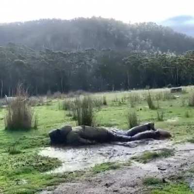 Maybe Maybe Maybe