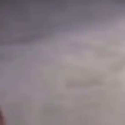 this is my new favorite video
