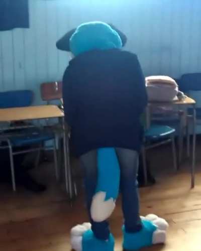 xd