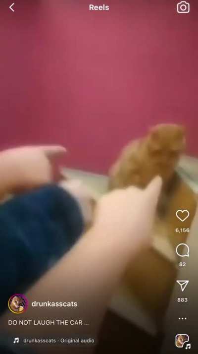 Clammy humiliation 