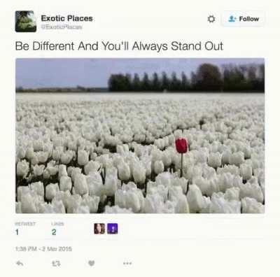 Diversity rule