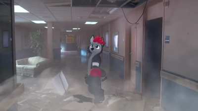 furry_irl
