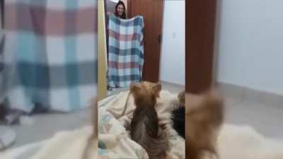 Наконец-то она ушла