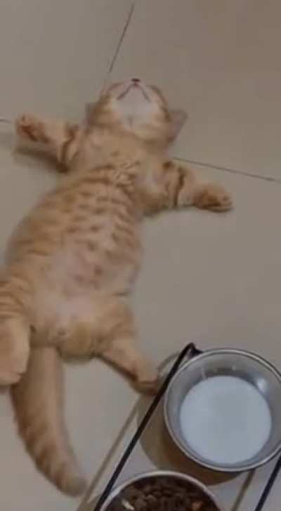He is dead
