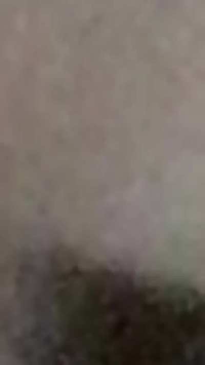 He took this video after she bit him