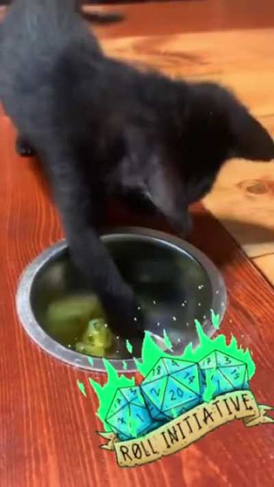 Roll initiative