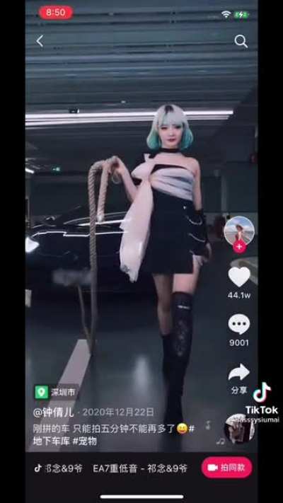 Glimpse of Chinese TikTok