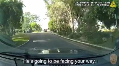 Police chase mayhem