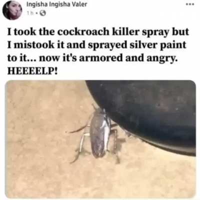 Cockroach incident