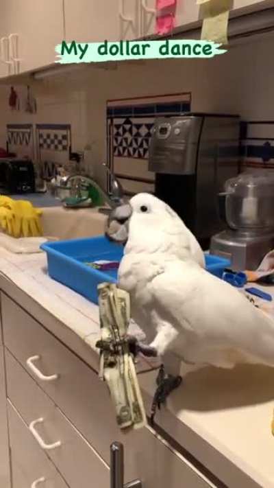 I'm Rich Biatch!