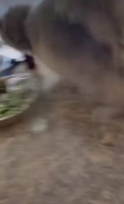 hm aqui parece ser confort&aacute;vel