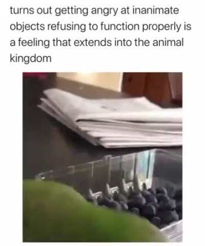 me_irl