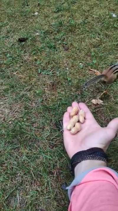 Delicious Peanut
