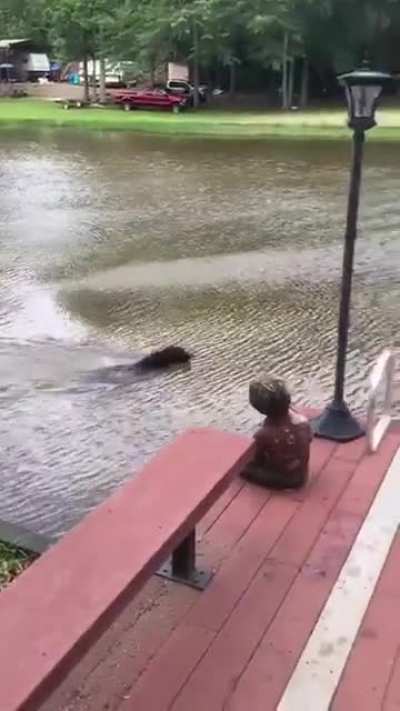 When Your BFF Falls into the Lake (Audio Required)