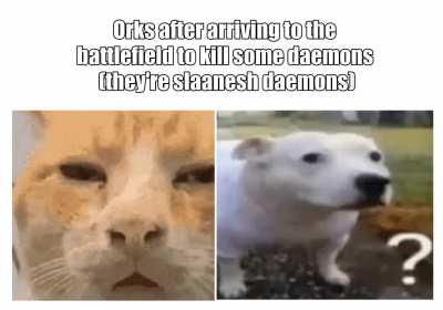 "Da megaboss told us dem day-mons were "purple ladies", where are they!!!"