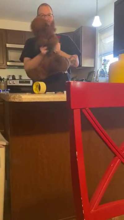 My dad being a goof with one of my mooses