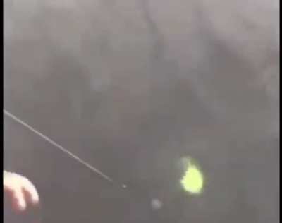 Catch of the year
