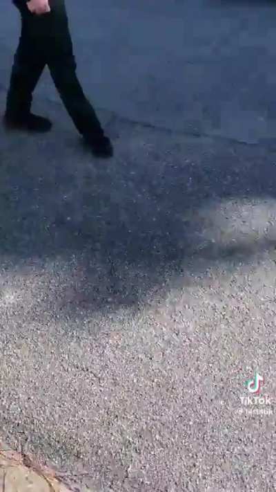 Brevard County FL Sheriff&rsquo;s Deputies assaulted and detained a man for filming a bogus search of his vehicle.