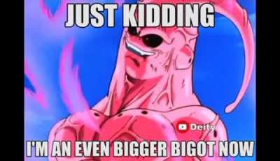 Bigot Buu